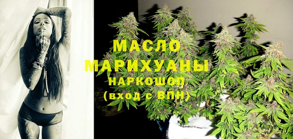 дмт Абаза