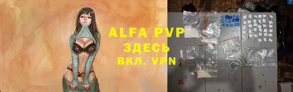 дмт Абаза