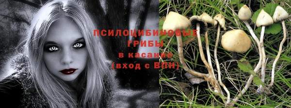 спиды Алзамай