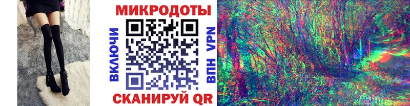 купить   Элиста  Псилоцибиновые грибы MAGIC MUSHROOMS 