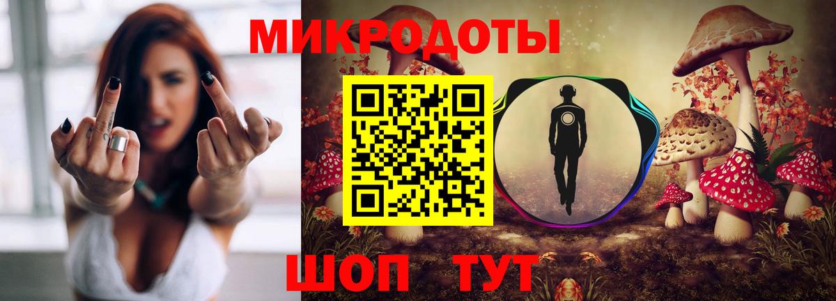Псилоцибиновые грибы мицелий  купить наркотики цена  Элиста  Вход с VPN 