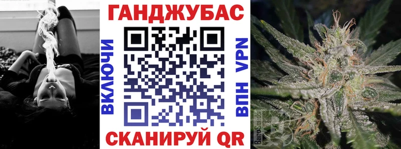 Конопля гибрид  Элиста 