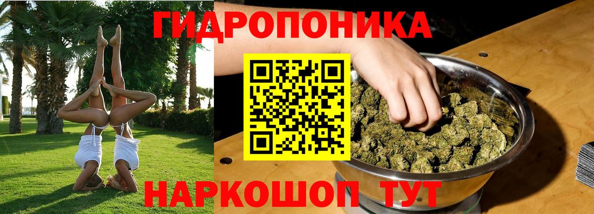 Бошки марихуана White Widow  Канабис конопля  Элиста  Вход с VPN  Каннабис конопля 